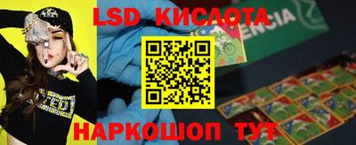 дмт Новозыбков