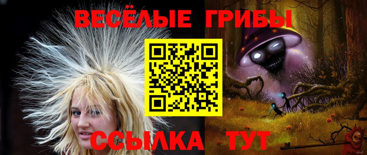 Янаул  Галлюциногенные грибы мухоморы  Галлюциногенные грибы Psilocybe  Вход с VPN 