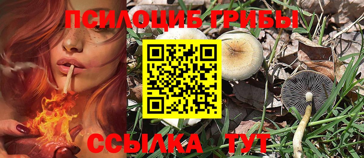 Галлюциногенные грибы прущие грибы Янаул